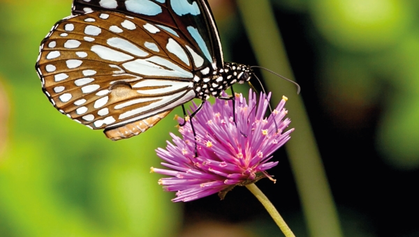 Gestion environnementale ISO 14001